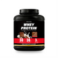 Wholesale OEM Whey Protein Powder (Milk Chocolate)